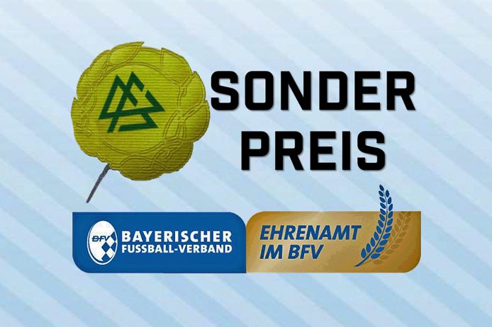 bfv dfb ehrenamt logo